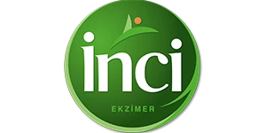 İnci